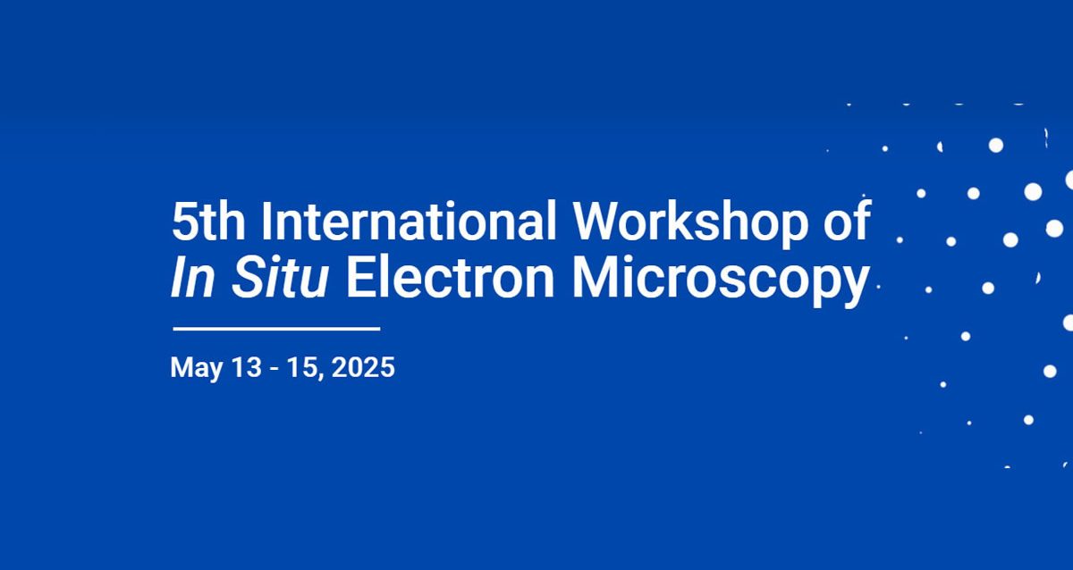 5th workshop situ eletron microscopy